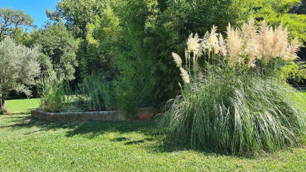 La Bambouseraie De Sulauze Homestay